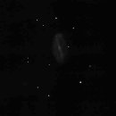 NGC_2903_4_2010_mit 12 Zoll