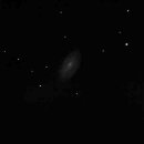 NGC 3521 mit16 Zoll