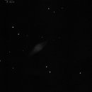 NGC 7814 mit 16 Zoll