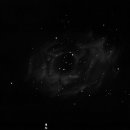 NGC 2244_Rosettennebel mit 16 Zoll