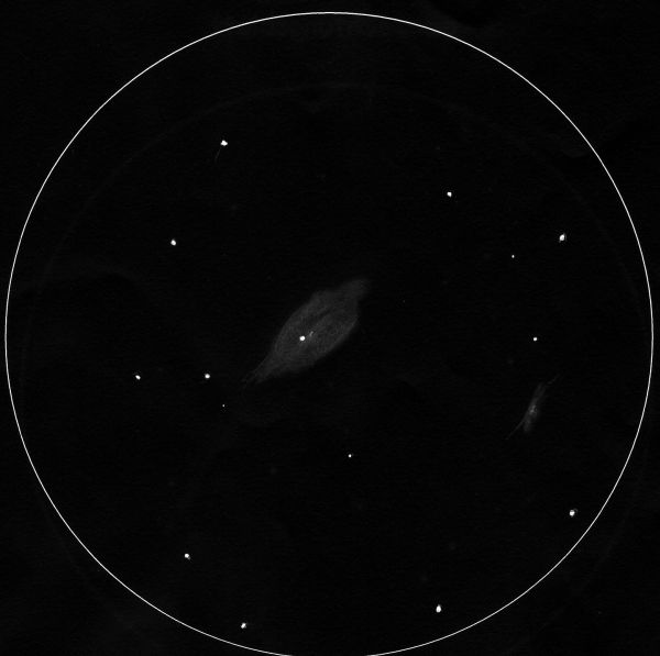 NGC_4088_im_12_Zoll