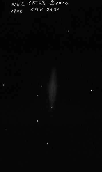 NGC_6503_2010_mit_12_Zoll