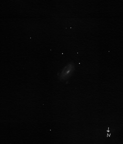 NGC_4559_neg