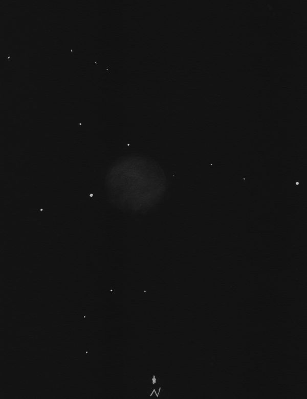 IC1295neg