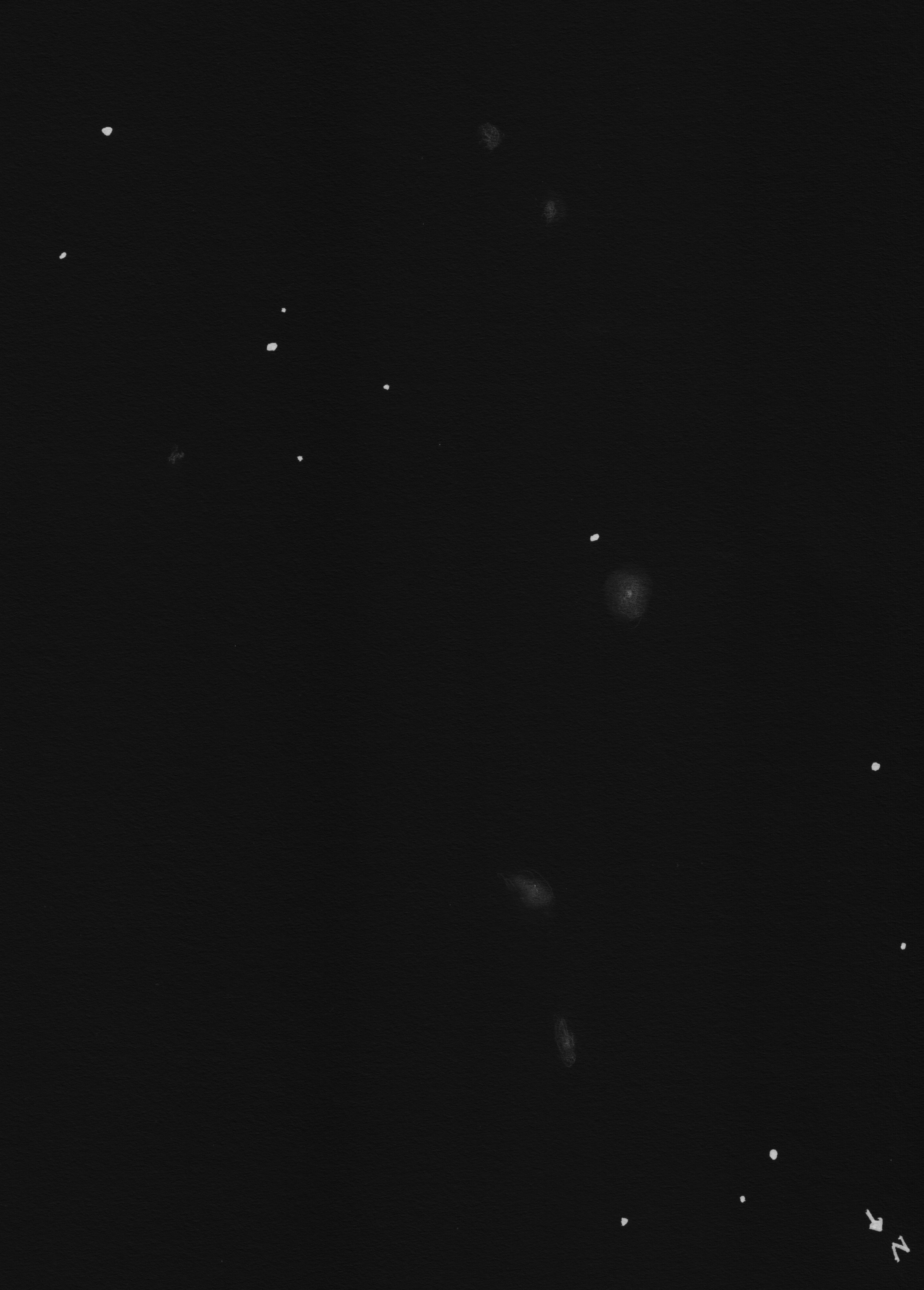 NGC 383neg