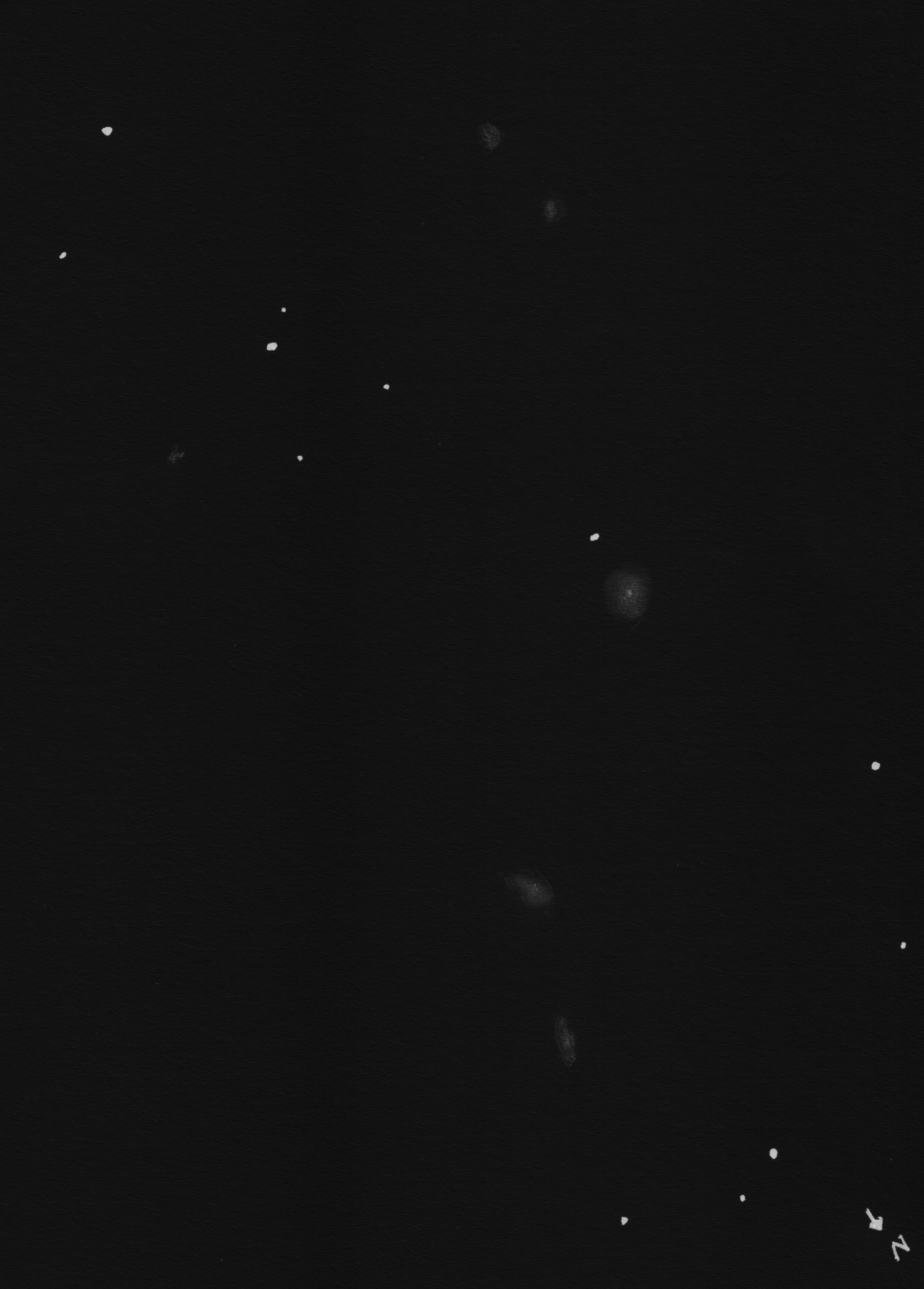 NGC 383neg