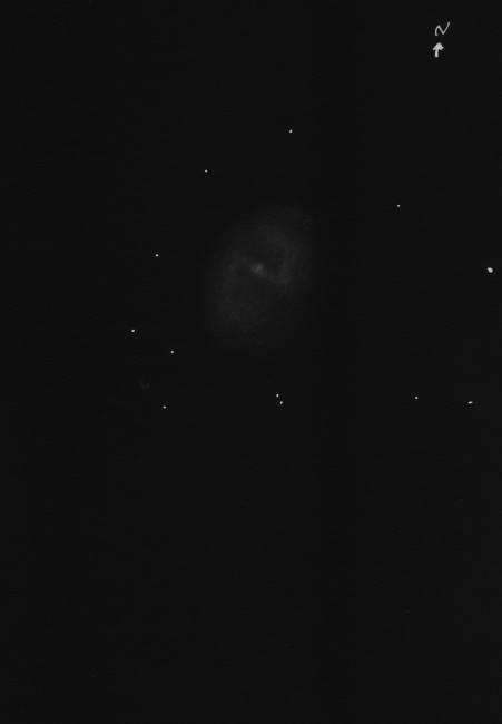 M91neg