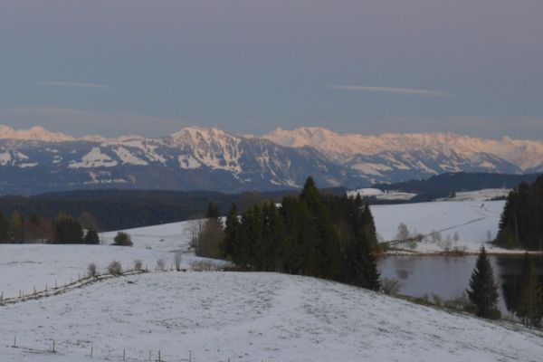 Blick aud die Alpen 2