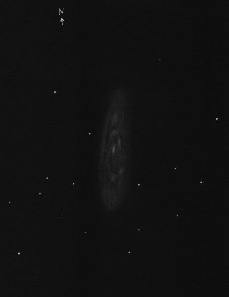 M65neg