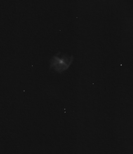 M91 neg