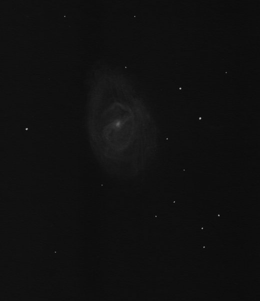 M95neg