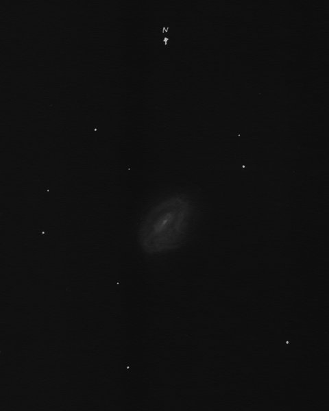 M96neg