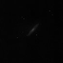 NGC 2683 mit 12 Zoll