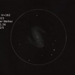 M 81